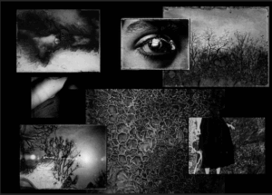 Et-toujours-la-vie est belle - cie Brozzoni