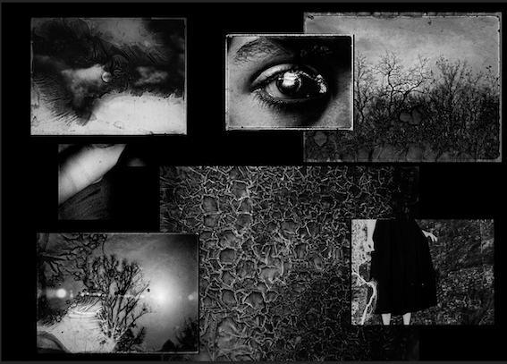 La Force de la paix 6 mai 2026 Les Forges (74) par la Cie Brozzoni